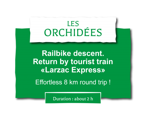 Circuit en train en famille