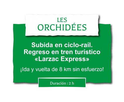 Descente en vélorail et retour en train