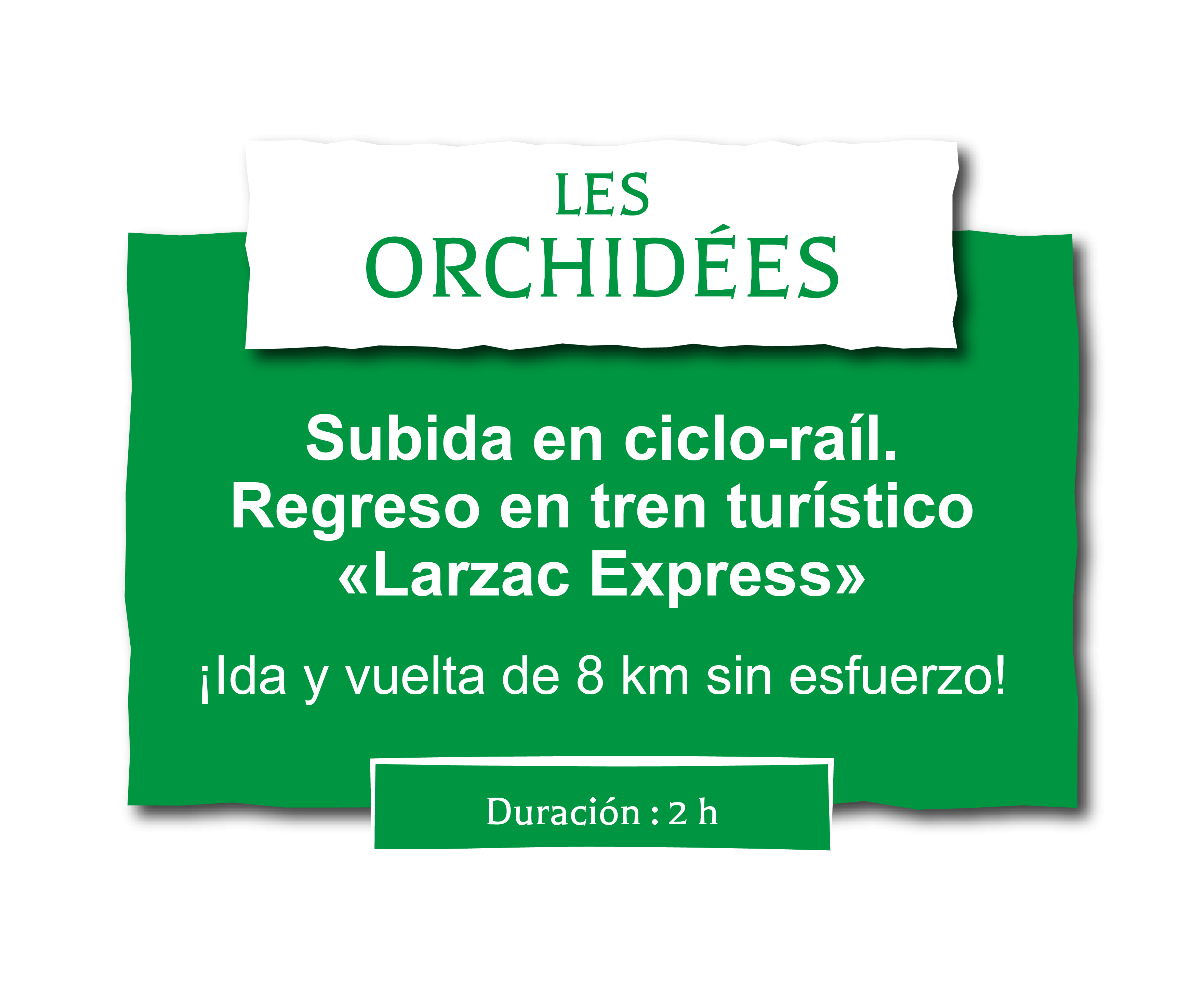 Parcours en vélo rail et en train de tourisme