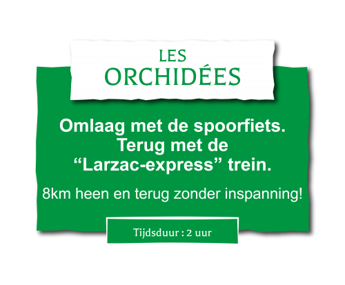 Circuit en train en famille