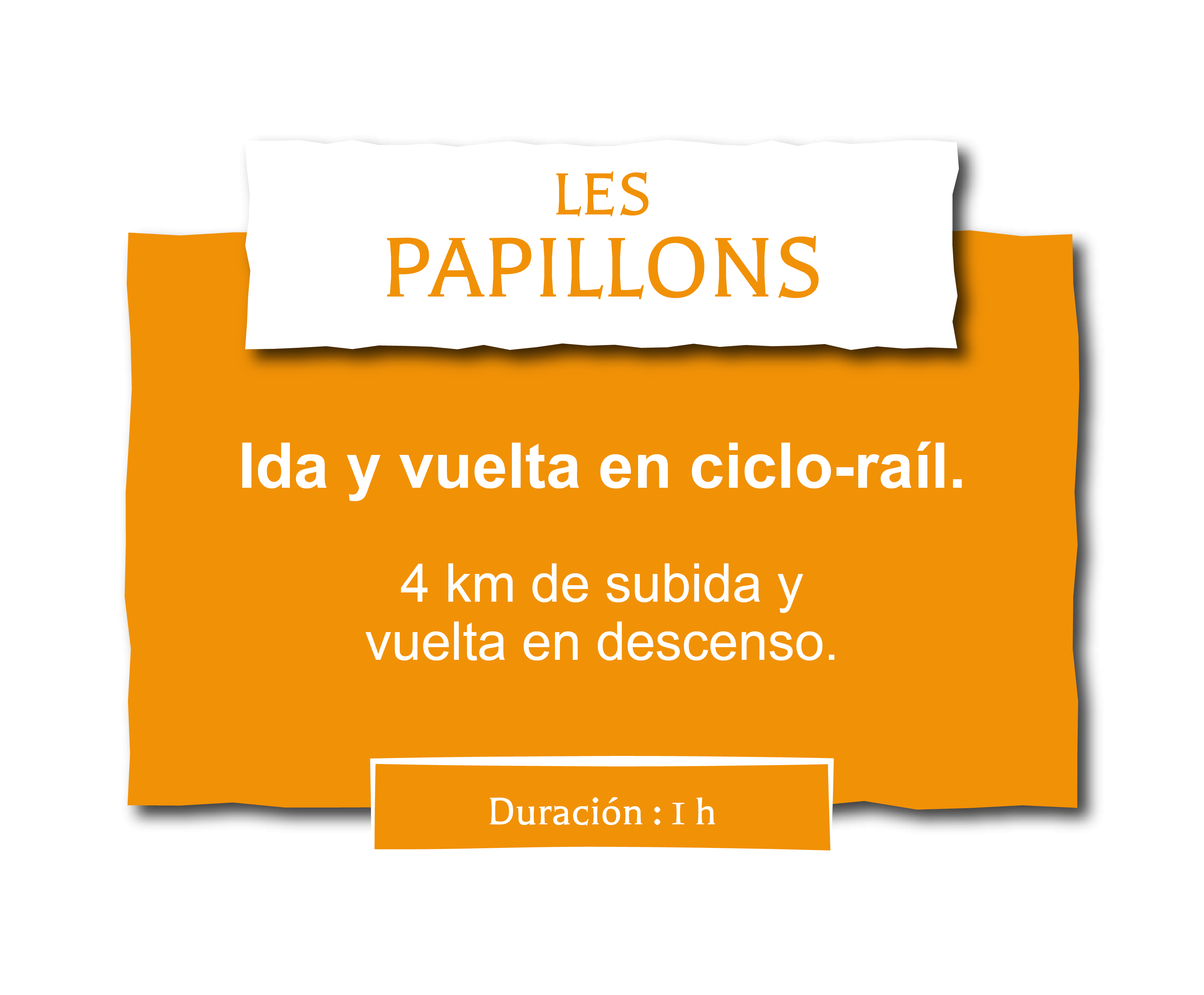Activité en velorail les papillons