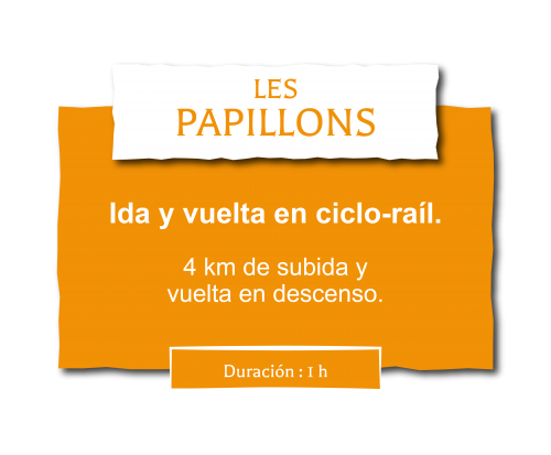 Activité de plein air en famille