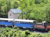 Activité vélorail et train Larzac-Express